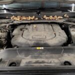 VENDU!!!! VENDU!!!! VENDU!!!!2017 LAND ROVER RANGE ROVER SPORT TD6 HSE, SALWR2FK9HA144522, Automatic Transmission, 3.0L 6CYL DIESEL FUEL,  4 Wheel Drive full